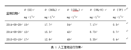 1767940650734810.png 0a014c1e-8c42-4482-84b9-26b536ef19a2.png