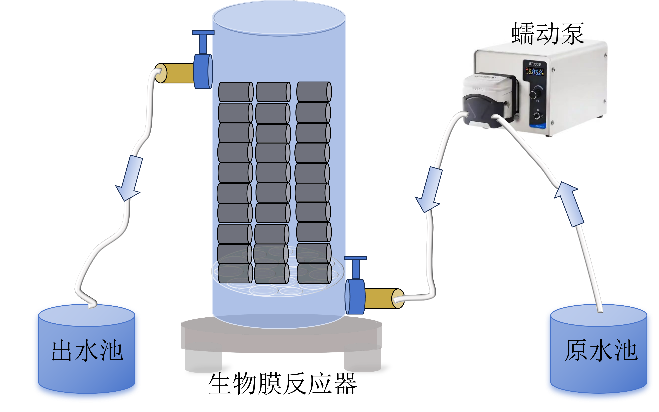 1768874216111757.png 1768874216111757.png