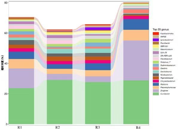 1768874779124921.jpg 1768874779124921.jpg