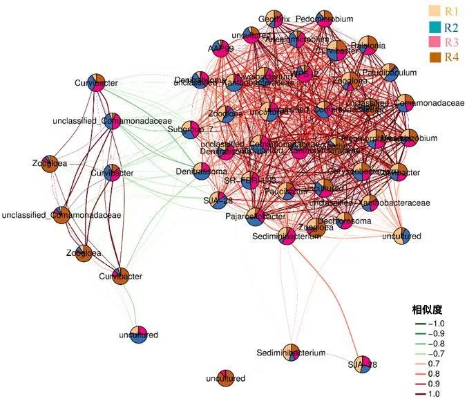 1768878524772334.jpg 1768878524772334.jpg